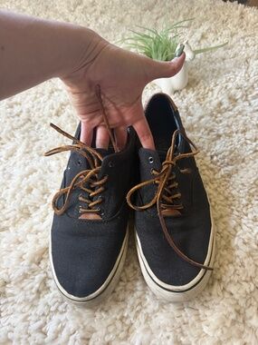 Casual low-top Polo by Ralph Lauren Thurton men’s Black Canvas Sneakers with Bro